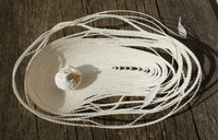 Papierschale